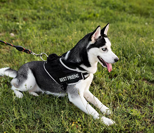 Iphone 14 pro111 (1)