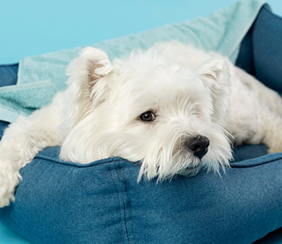 Iphone 14 pro111 (3)