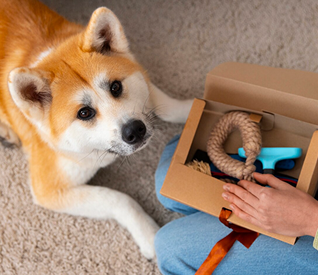 Iphone 14 pro111 (4)