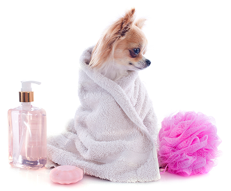 Iphone 14 pro111 (5)