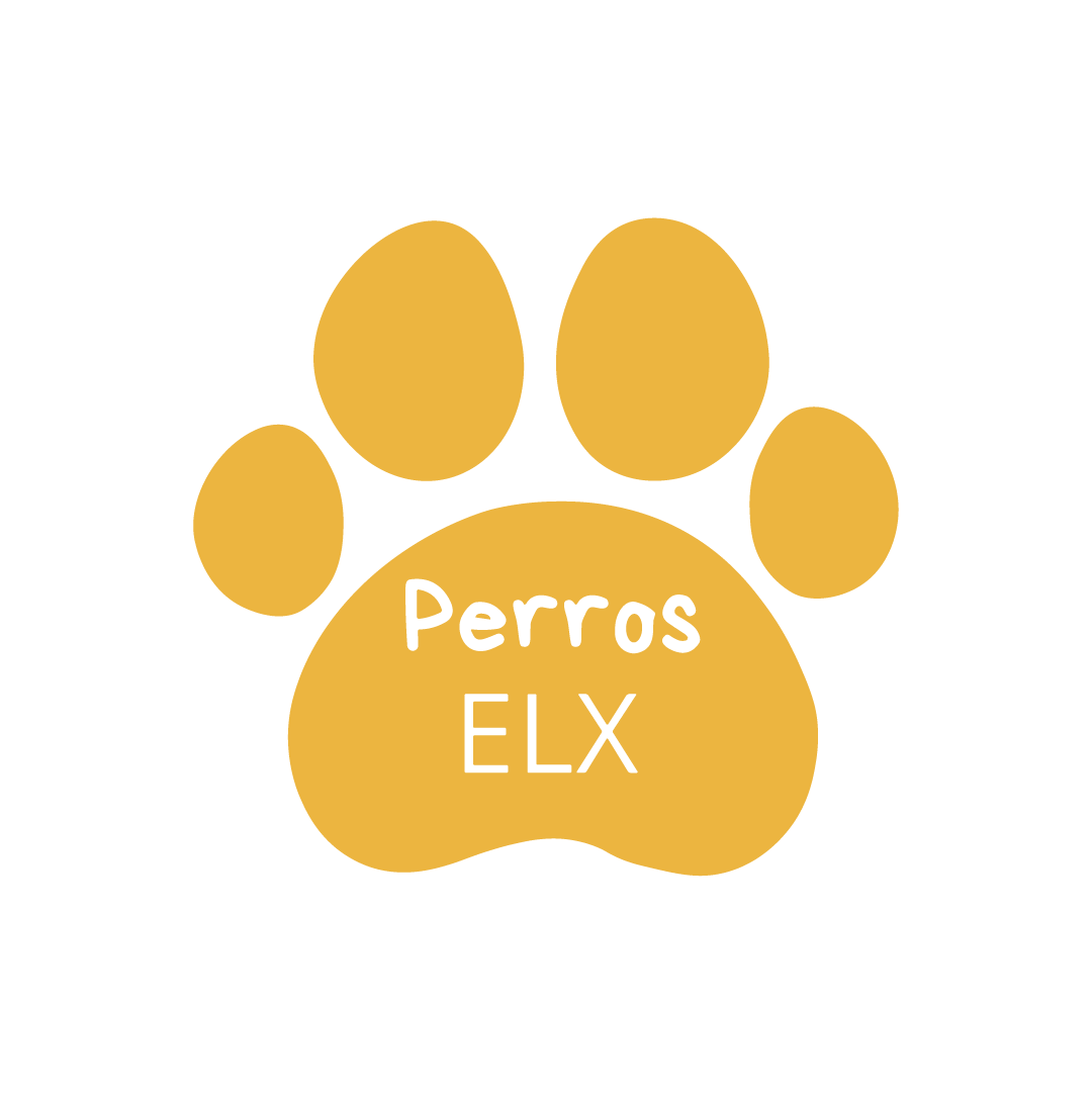Logo primario (4)